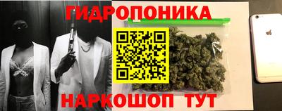 молекула духа Надым