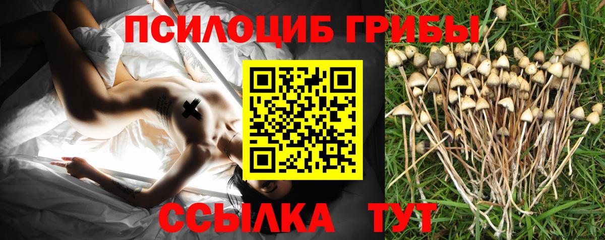 как найти закладки  Вход с VPN  Долгопрудный  Псилоцибиновые грибы мухоморы 